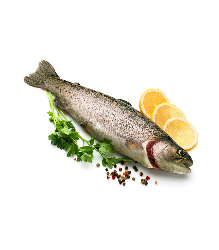 نان فانتزی - Image 4